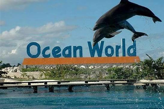 Ocean World Adventure Park
