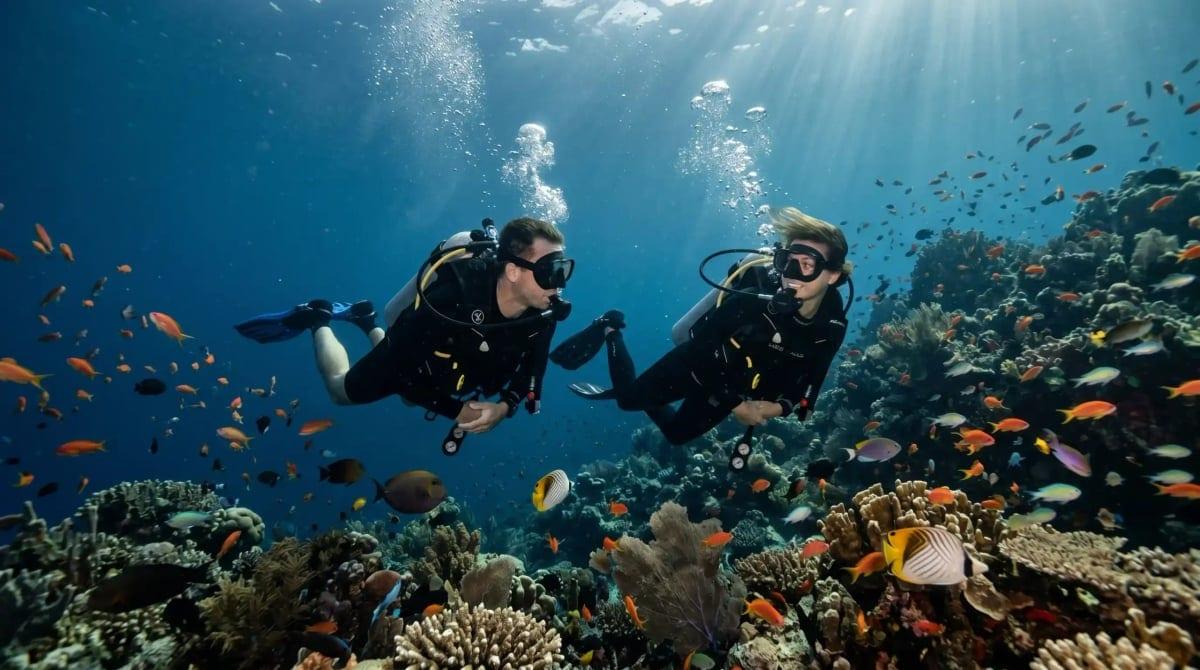 Sosúa Bay Diving & Snorkeling