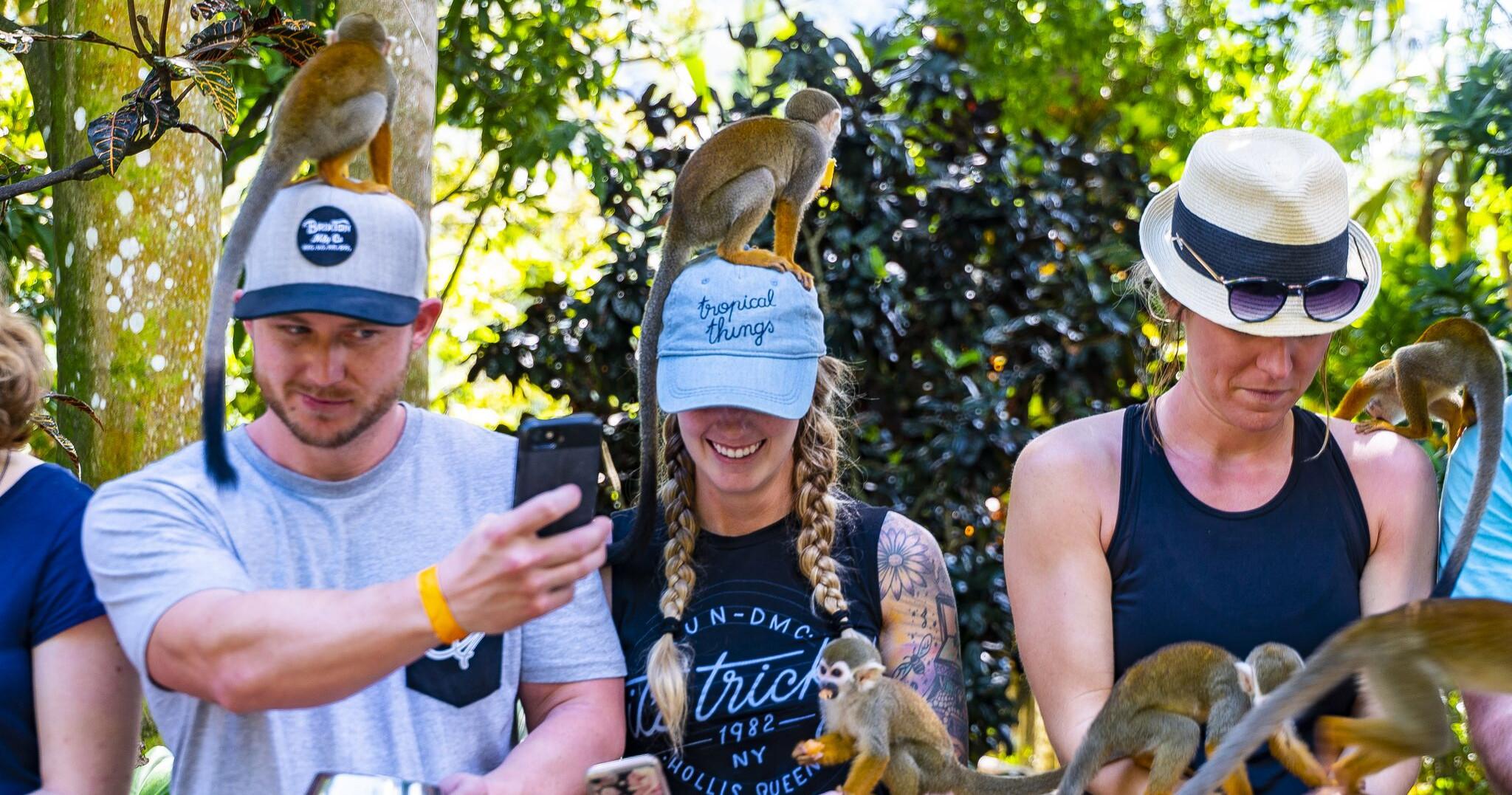 Monkeyland Puerto Plata — Safari & Monkeys
